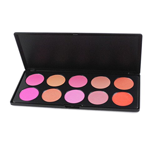 판타지데이 프로 10색 파우더 블러셔 팔레트 FantasyDay Pro 10 Colours Large Blusher