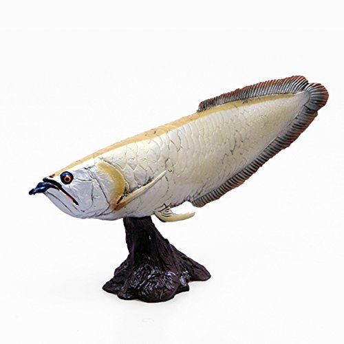 Item 4