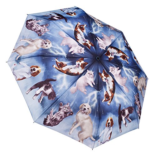 Cats & Dogs 폴딩 Umbrella