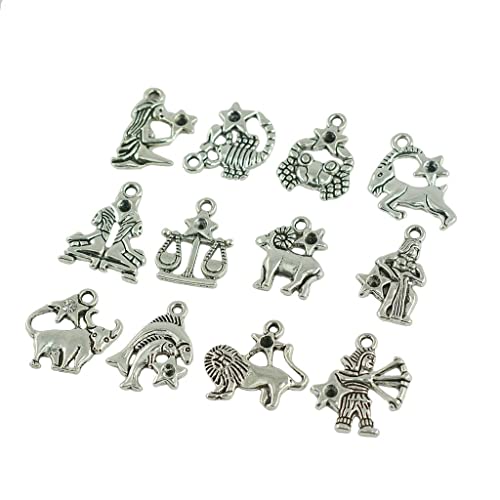 Dovewill 24 Pieces Zodiac Constellation Pendant 생일 Astrology Bracelet Necklace 가방 Keychain Charms