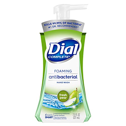 다이얼 컴플리트 향균 핸드워시 Dial Complete Antibacterial Foaming Hand Soap