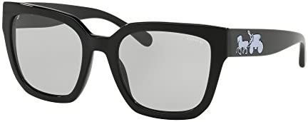 여성 선글라스 Coach HC8249 Sunglasses 매트 Solid Light Tint