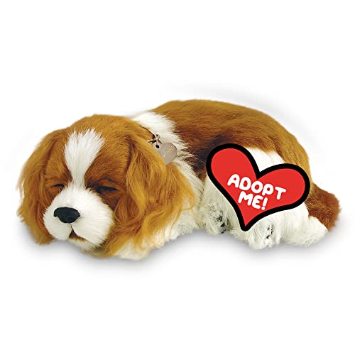 로봇애완동물 Wind & Weather Perfect Petzzz Cavalier 킹 Charles Puppy