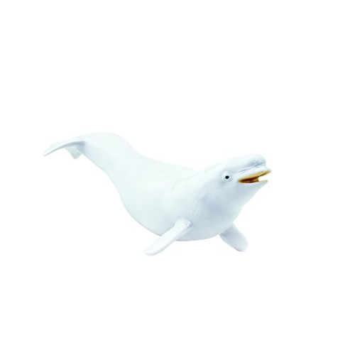 Safari Ltd Monterey Bay Aquarium Sea Life Collection Beluga Whale