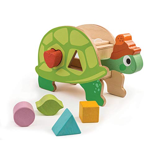 태엽장난감 Tender Leaf 토이 - Hungry Wooden Tortoise Shape Sorter Encourages Imaginative Play Improves Recognition Problem Solving Skills 3 Years +