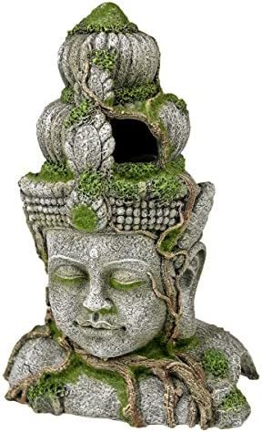 수족관 피규어 모형 블루 Ribbon Exotic Environments Statue Moss