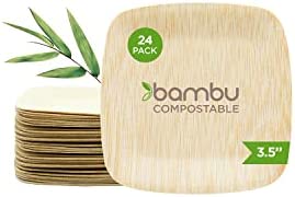 Bambu, 3.5 Inch Square Disposable Bamboo Plates, Organic Compostable Plates, Eco Friendly, Wooden Appetizer Plates, 100% Natural - Bulk 250 Pack