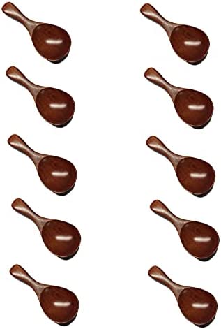 JapanBargain 1906 Wooden Tea Scoop Matcha 그린 Spoon Spices