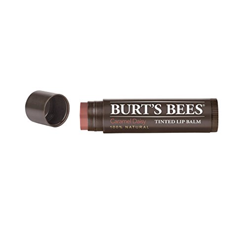 립밥 Burts Bees Tinted 립밤 Caramel Daisy 0.15oz 3 Pack