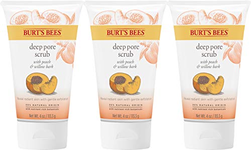Exfoliating Face Wash, Burts Bees Deep Pore Facial Cleanser, Exfoliator with Willow Bark, 4 Ounce (Pack of 3) (Packaging May Vary)