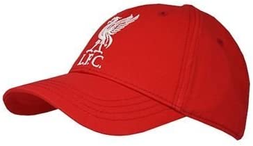 Item 4