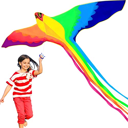 HENGDA KITE-Strong Phoenix Long Colorful TailHuge Beginner Kites 어린이 성인 74-Inch Come String Handle