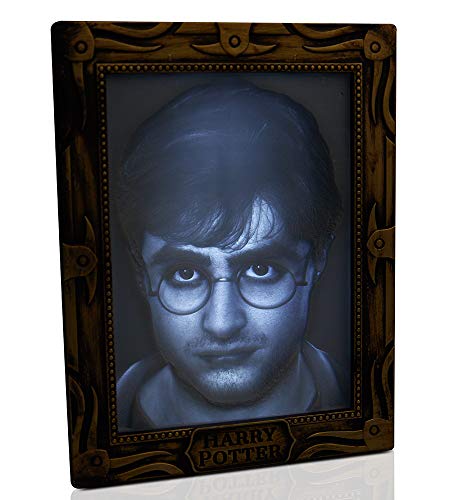 WOW Stuff 컬렉션 Harry Potter Holopane 50 Mood Lamp