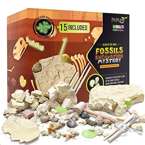 집콕 홈캉스 시간순삭 15종 미스테리 화석 발굴 키트 Nature Gear 15 Mystery Fossils + Bonus Glow-in-The-Dark - Excavation Adventure Kit Science STEM Learning 어린이 Activity