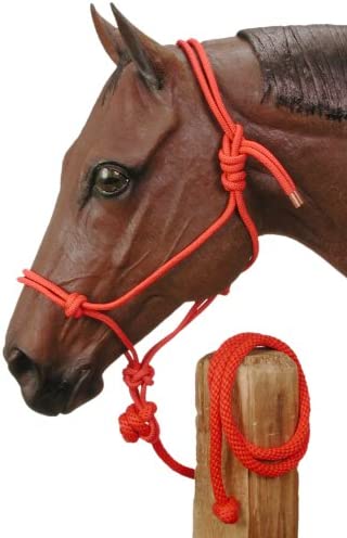 Tough 1 Poly Rope Tied Halter with Lead