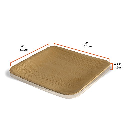 Disposable Eco Palm Paper Plates 스퀘어 Compostable Biodegradable Heavy Duty Dinner Party 플레이트 - Comparable Bamboo 우드 Fiber Nice Elegant Looking Plant Based Dishware 25 Pack