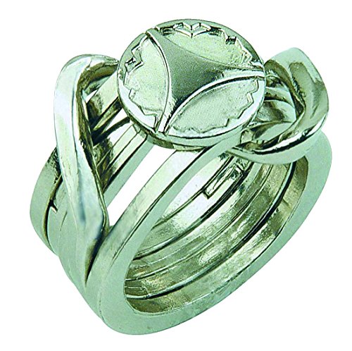 RING II Hanayama Cast Metal Brain Teaser Puzzle (Level 5) [병행수입품]