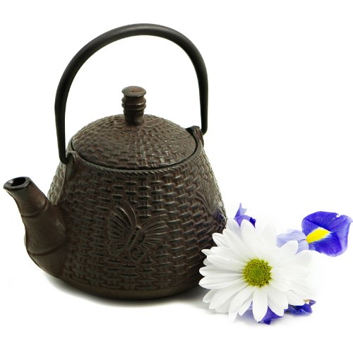 티포트 주전자 The Butterfly Basket Cast Iron Teapot