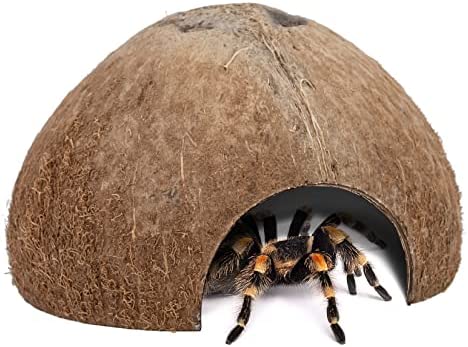 2팩 Natural Coconut Reptile Hideouts Lizard Spider Aquarium Fish Hide Cave Smooth Surface