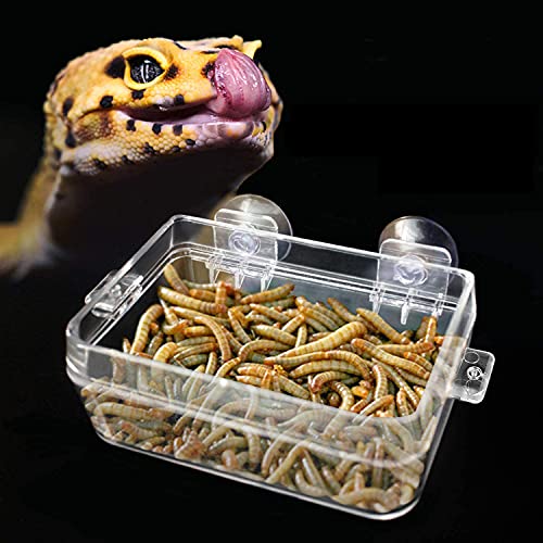 BWOGUE Suction 컵 Gecko Feeder Anti-Escape Dish Reptiles Ledge 악세사리 Chameleon Iguana Lizard Reptile Food Water Feeding