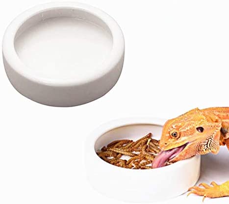 DoubleWood 2PCS Terrarium Bowls Reptile Food Bowl Worm Dish 미니 Ceramics Water Lizard Anoles Bearded Dragons
