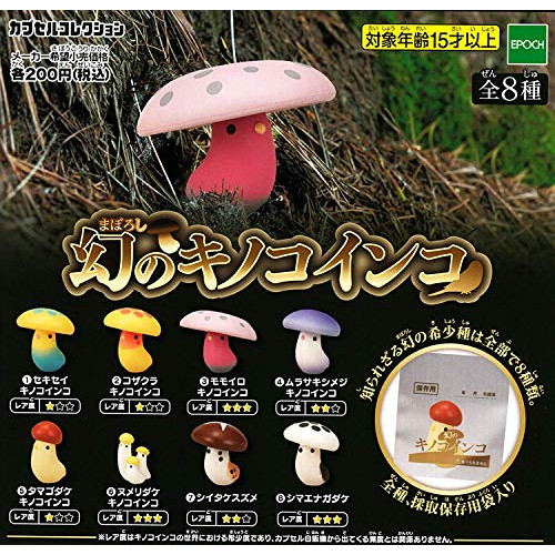 Item 4