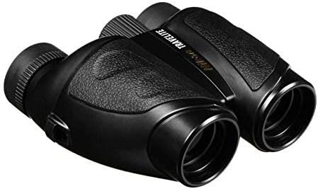 Nikon Travelite Binocular 25mm