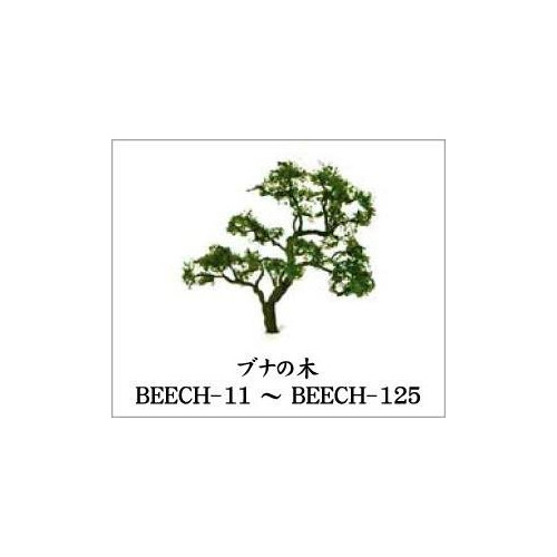 Model Materials u2013 18 Complete Tree Beech Beech Tree Pack of 19 