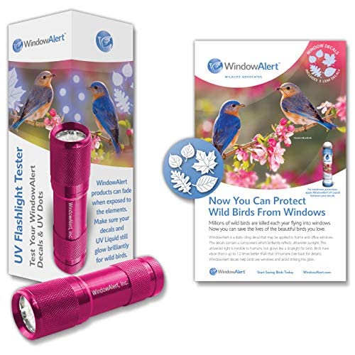 WindowAlert Starter팩 UV Flashlight 테스터 Bundle Leaf Medley UV-Reflective Window Decal Protect Wild Birds from Glass Collisions