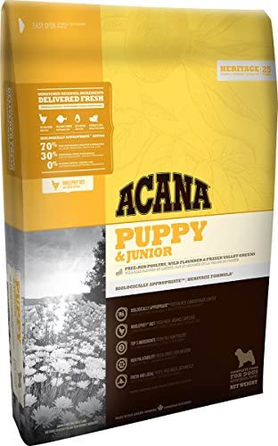 아카나 ACANA 파 pea&쥬니어 340g