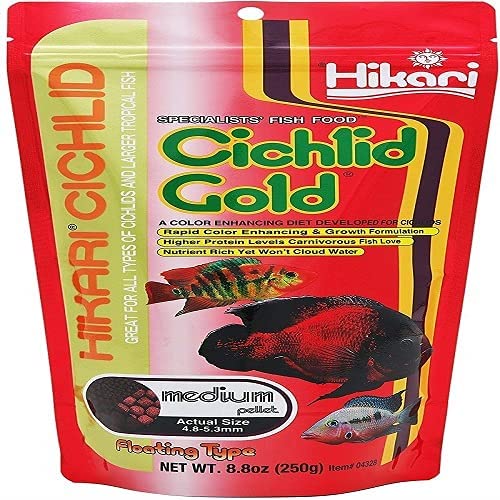 Hikari Cichlid 골드 Medium8.8oz