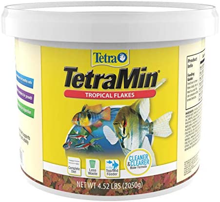 TetraMin 트로피컬 플레이크 2.2-Pound 77005