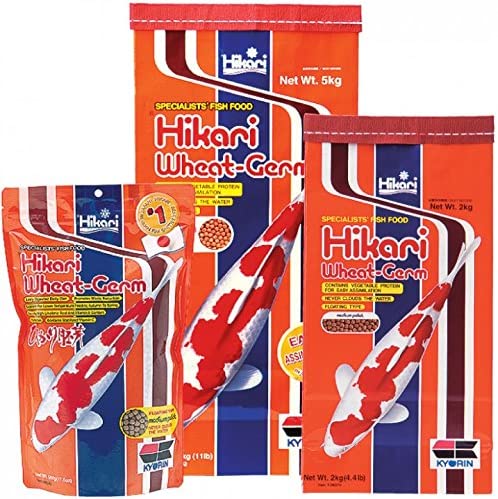 Hikari Wheat Germ Med Pellet Pond Fish Food