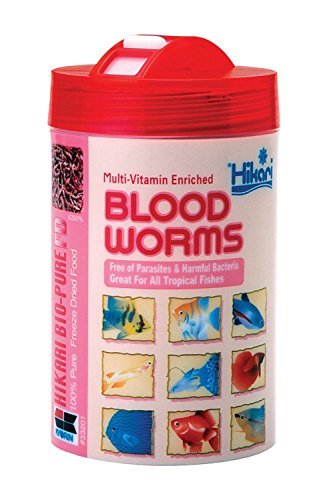 Hikari Bio-Pure Freeze Dried Blood Worms Pets 0.42oz