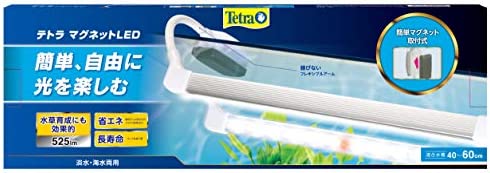 tetra Tetra 마그넷LED미니
