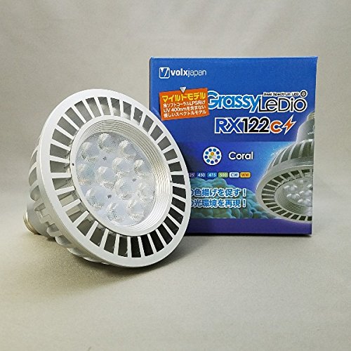 보루쿠스쟈판 Grassy Ledio RX122c Coral/코랄