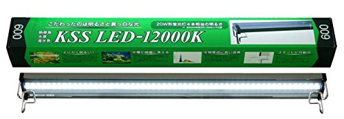 KSS K 에스 LED-12000K 18.5W 600