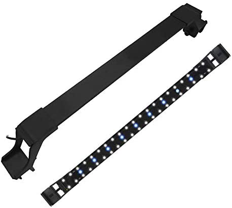Item 5