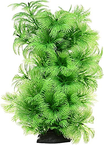 Item 4