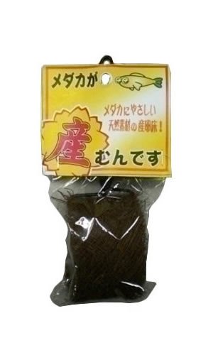 Item 4