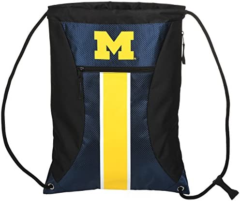 Michigan Big 스트라이프 Zipper Drawstring Backpack
