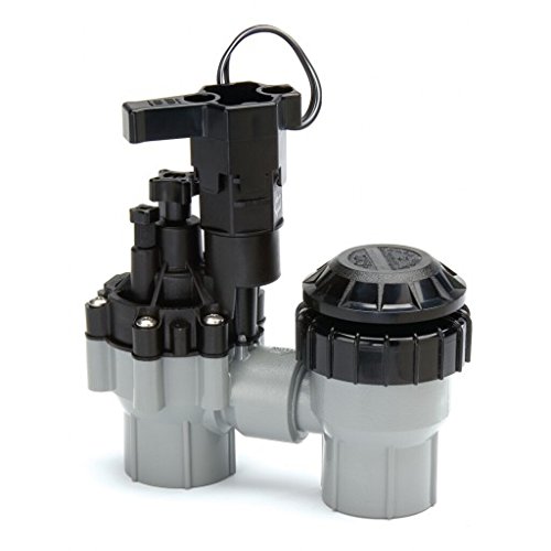 Rainbird Plastic ASVF Series Electric Valve with Flow Control and Atmospheric Backflow Preventer, 1"/24 VAC