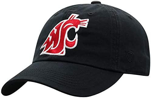 Top World Men 조절되는 Relaxed Fit 매트 Icon Hat