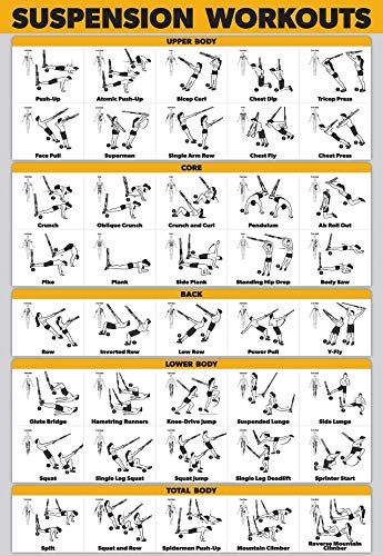 QuickFit 서스펜션 운동법 자세 포스터