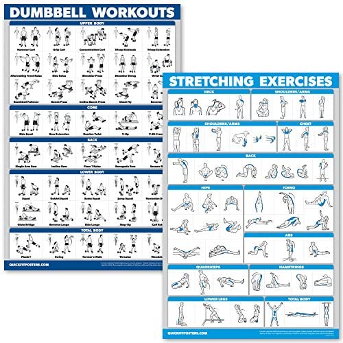 QuickFit 더머벨 & 스트레칭 운동법 자세 포스터 2장