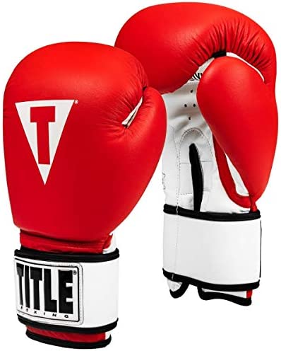 Title Boxing 프리미어 레더 슈퍼 백 글로브 2.0