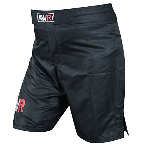 Item 1