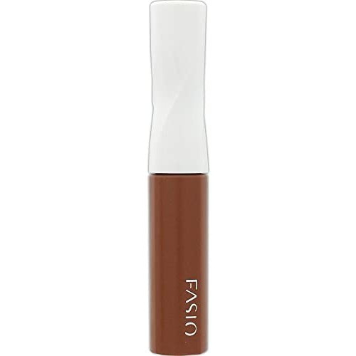 FASIO 후시오 컬러 래스팅 아이 블로우 마스카라 브라운 BR300 6g