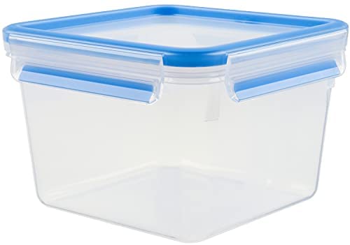 T-fal 마스터씰 프레쉬 렉탱글 800ml N10110