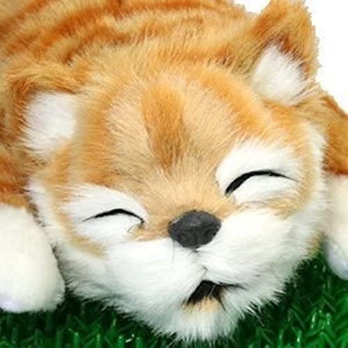 SpaceRail 웃어 구르는 고양이 옐로우
